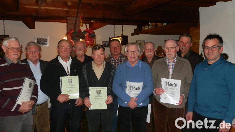 Langjährige Sänger und Mitglieder stehen in der letzten Singstunde des Jahres beim MGV Neualbenreuth im Mittelpunkt. Im Bild (von links) Arnold Scharnagl, Chorleiter Franz Danhauser, Ferdinand Scharnagl, Prof. Wolfgang Grunewald, Siegfried Stähli, Rudolf Sporrer, Franz Becker, Hannes Thümmel, Friedrich Scharnagl, MGV-Vorsitzender Ferdinand Köstler und Sängergruppen-Vorsitzender Stefan Werner. Bild: fsc