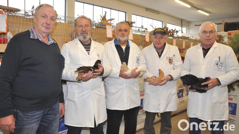 Die Preisrichter Josef Franz aus Kotzenbach, Josef Schießl aus Hundzell bei Kötzting, Dieter Korzendorfer aus Grundlitz und Anton Endler aus Mehlmeisel (von rechts) sind am Sonntagvormittag voll es Lobes über die züchterischen Leistungen. Ganz besonders freut das Vorsitzenden Johann Putzer (links). Bild: es