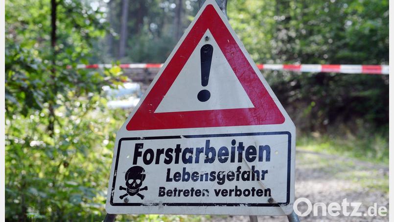 Trotz Absperrband und Warnschildern kam es zum tödlichen Unfall bei Forstarbeiten. (Symbolbild) Bild: Hendrik Schmidt/dpa-Zentralbild/ZB