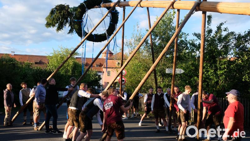 Gelebtes Brauchtum gehört zur Speinsharter Kirchweih. Den Auftakt bildete das Aufstellen eines 24 Meter langen Kirwabaumes. Souverän wuchteten Speinsharts Kraftpakete den Baum mit den traditionellen "Schwalben" in die Höhe. Bild: Robert Dotzauer