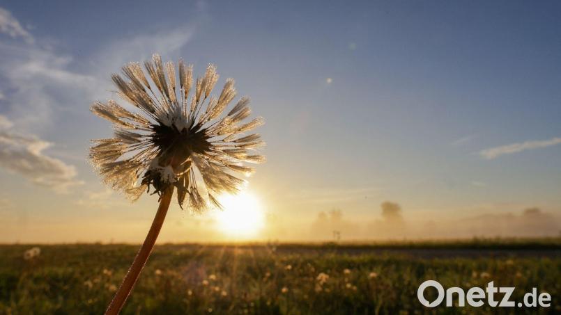 Freundliches Wetter und sommerliche Temperaturen sagt der Deutsche Wetterdienst für die nächsten Tage vorher. Bild: Thomas Warnack/dpa