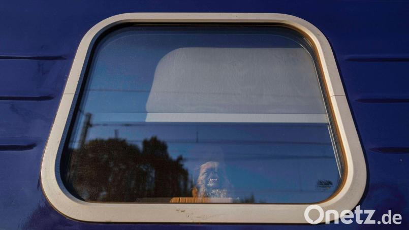 Russland attackiert immer wieder Züge in der Ukraine. (Archivbild) Bild: Evgeniy Maloletka/AP/dpa