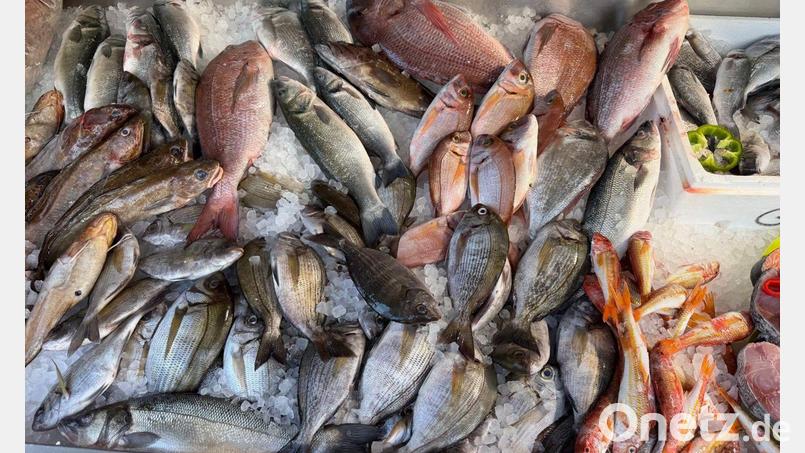 Frischen Fisch erkennt man unter anderen an den klaren, glänzenden Augen. Bild: Alexia Angelopoulou/dpa