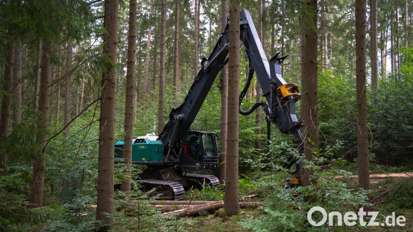 49 Tonnen schwer, 260 PS stark: Der Harvester wird vom Forstbetrieb Flossenbürg in alten Waldbeständen eingesetzt. Er kann starke Bäume gezielt und schonend aus dem Bestand entnehmen. Bild: Erik Glaubitz