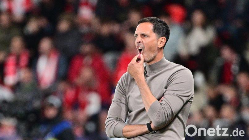 Nach nur drei Monaten als Coach des RC Lens ist für Dino Toppmöller bereits wieder Schluss. (Archivbild). Bild: Kamaryt Michal/CTK/dpa