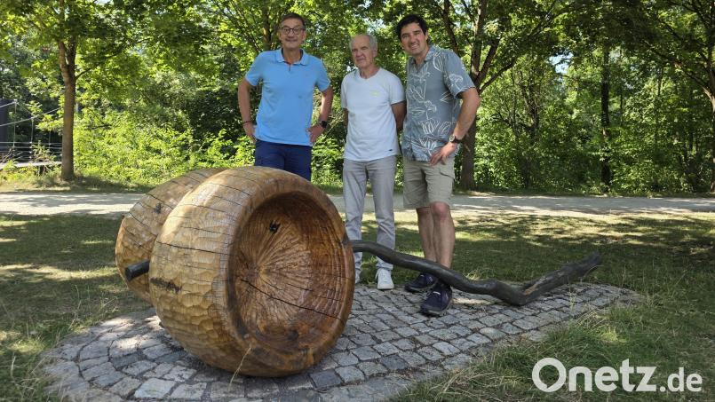 Skulptur „Die Eicheln“ am Amberger Skulpturenweg Bild: Christopher Trepesch