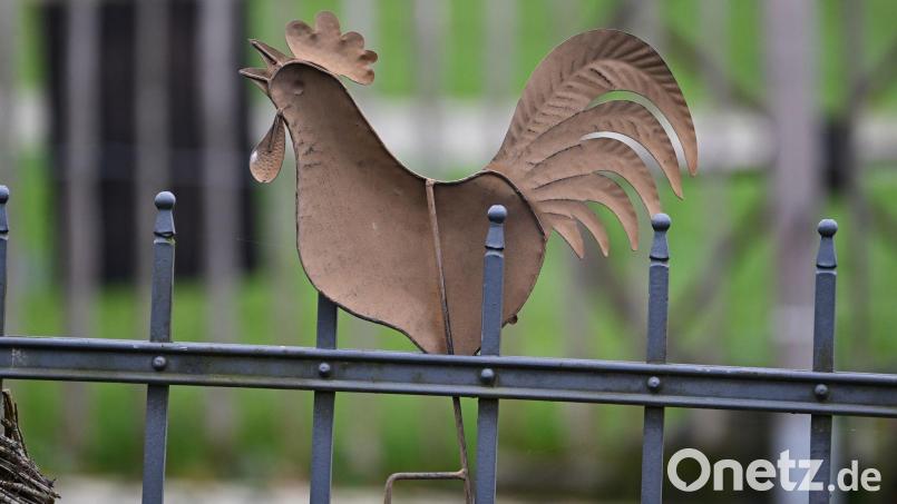 Zoff mit Hochspannung: Ein Mann setzte den Gartenzaun seines Nachbars unter Strom. (Symbolbild) Bild: Arne Dedert/dpa