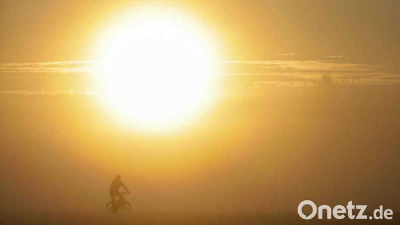 Die UV-Strahlung steigt seit Mitte der 90er Jahre mit der Sonnenscheindauer (Archivbild) Bild: Thomas Warnack/dpa