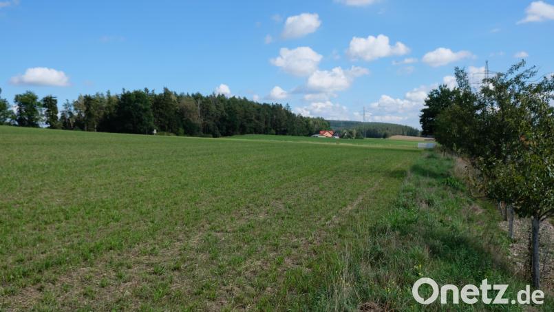 Auf 5,5 Hektar bisher landwirtschaftlich genutzter Fläche entsteht bei Metzenhof nahe der Truppenübungsplatzgrenze ein Sonnenkraftwerk mit 11.000 aufgeständerten Solarmodulen. Bild: Robert Dotzauer