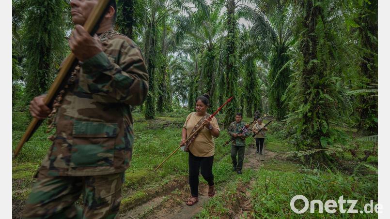 Lateinamerika bleibt ein besonders gefährlichstes Pflaster für Umweltschützer. (Archivbild) Bild: Leslie Searles/Global Witness/dpa
