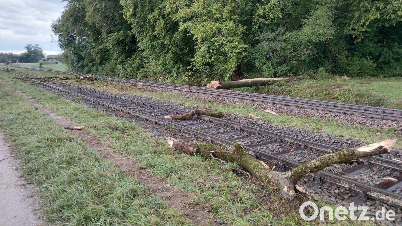 Der Zug war mit hoher Geschwindigkeit unterwegs, als er mit dem Baum zusammenstieß. Bild: Bundespolizei/dpa