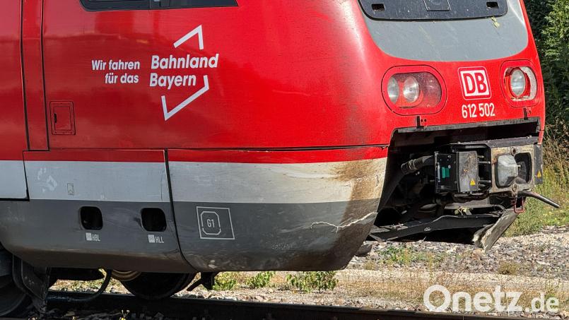 Auf der Strecke von Sulzbach-Rosenberg nach Amberg kollidierte ein Regionalzug bei Altmannshof mit einem umgestürzten Baum, der über beide Gleise lag. Die Zugführerin leitete eine Notbremsung ein. Bild: Petra Hartl