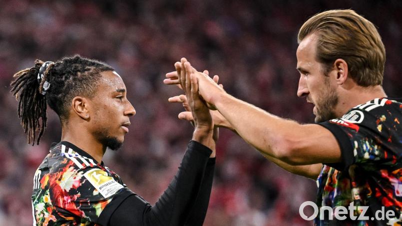 Zwei Bayern für große Auszeichnungen: Michael Olise (l) und Harry Kane. Bild: Harry Langer/dpa