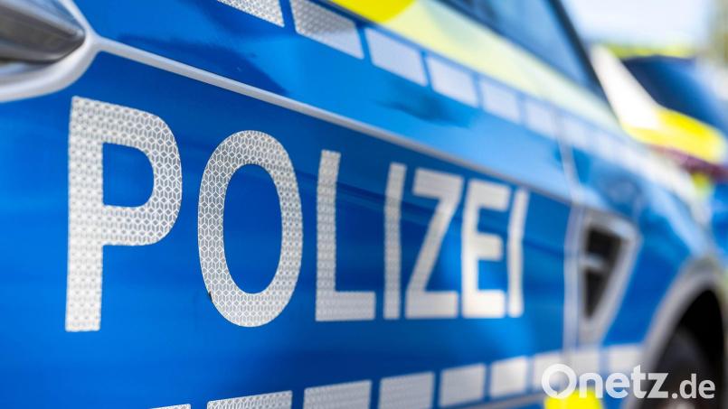 Eine junge Katze ist bei Pegnitz in ein verbotenes Tellereisen geraten. (Symbolbild) Bild: David Inderlied/dpa