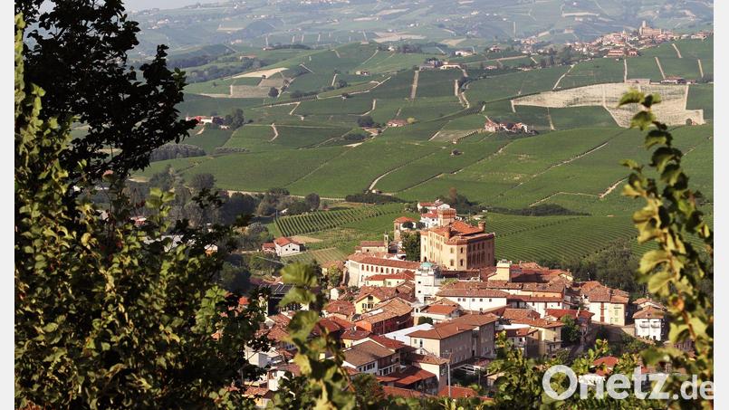 Der Barolo aus der Umgebung der gleichnamigen Gemeinde gehört zu den berühmtesten Weinen der Welt. (Archivbild) Bild: Bernhard Krieger/dpa-tmn