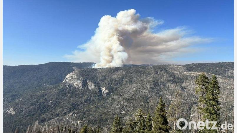 Beim Absturz des Löschhubschraubers kamen beide Insassen ums Leben. Bild: Uncredited/National Parks Service/AP/dpa