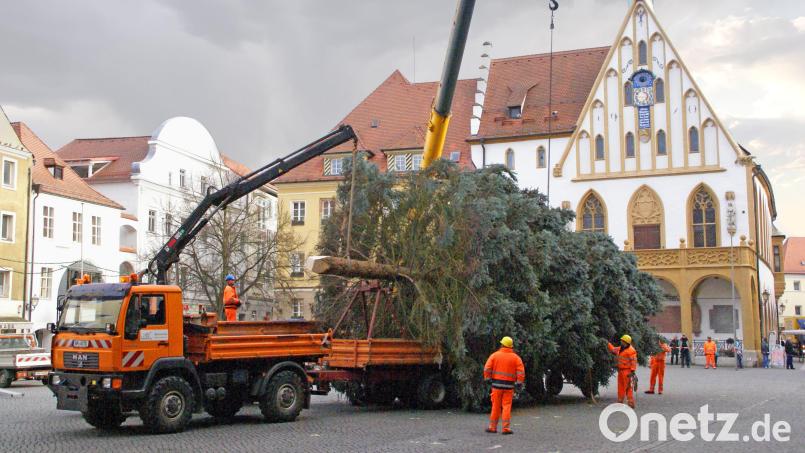 Die Stadt Amberg hat die Suche nach Weihnachtsbäumen für den Marktplatz und den Malteserplatz gestartet. Archivbild: Thomas Graml