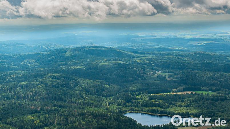 Auch wenn aktuell im Gebiet südlich des Großen Weihers bei Plößberg (unten links im Bild) Richtung Floß und Flossenbürg keine Windräder geplant sind, ist das Areal dennoch interessant für die "Bayern Wind GmbH", eine Tochtergesellschaft der Staatsforsten. Luftbild: mür