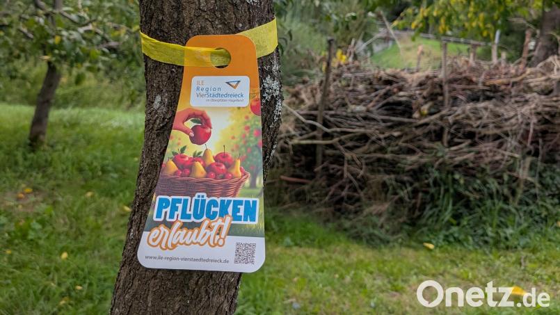 Ein gelbes Band am Obstbaum zeigt: Hier darf kostenlos für den Eigenbedarf geerntet werden. Bild: ILE Region VierStädtedreieck