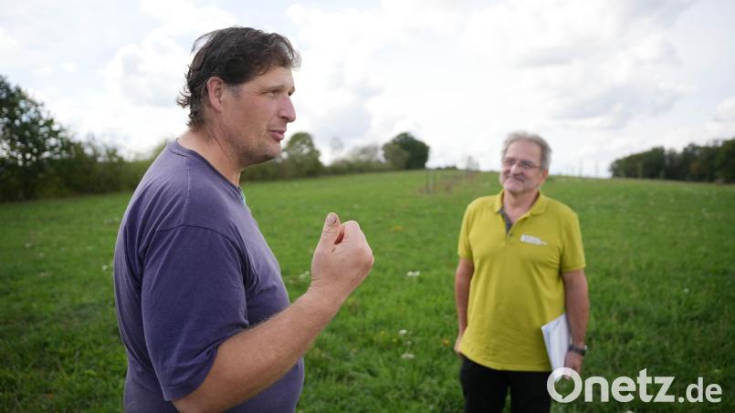 Auf zwei Wiesen in Kohlberg kombiniert Landwirt Werner Sparrer (links) Rinderhaltung mit Forstwirtschaft. Im Hintergrund sind die Ulmenstreifen auf einer der zwei Wiesen mit sogenannter Agroforstwirtschaft zu sehen. Wolfgang Keck (rechts) vom Amt für Ernährung, Landwirtschaft und Forsten Tirschenreuth–Weiden kennt sich mit Fördermöglichkeiten aus. Bild: Gabi Schönberger