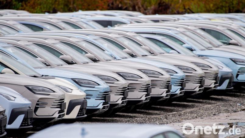 Elektrofahrzeuge von BYD stehen im Hafengebiet von Wilhelmshaven. Chinesische Hersteller drängen weiter auf den EU-Automarkt. (Archivbild) Bild: Hauke-Christian Dittrich/dpa