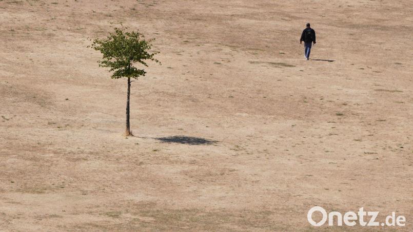 Die Hitzewelle des vergangenen Sommers wirkt sich auch auf die Konjunktur aus. (Symbolbild) Bild: Kirsty Wigglesworth/AP/dpa
