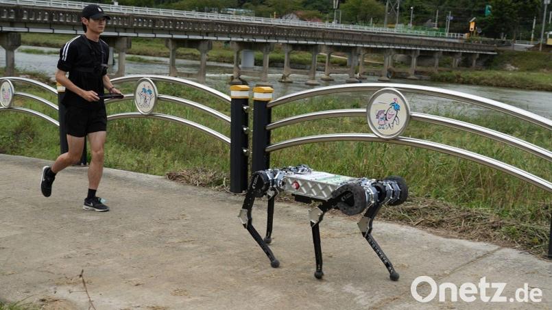Der vierbeinige Roboter "Raibo2" hat einen vollständigen Marathonlauf in 4 Stunden und 19 Minuten in Südkorea absolviert. Bild: -/KAIST/dpa