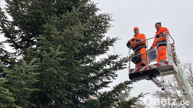 Im vergangenen Jahr stellten unter anderem Thomas Scharl (links) und Andreas Hirsch vom Bauhof des Landkreises die Christbäume im Innenhof und auf dem Balkon des Landratsamtes auf und behängten sie mit einer Lichterkette. Archivbild: Christine Hollederer