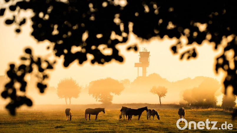 Nachdem sich die morgendliche Kühle verzogen hat, wird es wieder Sommer. Bild: Julian Stratenschulte/dpa