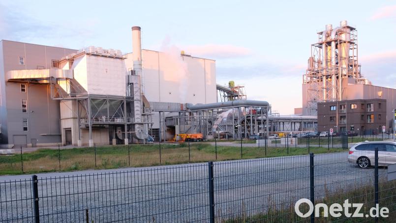 3,7 Hektar umfasst das Bauvorhaben der Firma naturheld im Gewerbegebiet am Parksteiner Weg zur Erweiterung der Lagerflächen für Holzfaserdämmplatten. Zur Bauverpflichtung gehört der Rückhalt von Niederschlagswasser aus befestigten Verkehrsflächen in Sickermulden. Bild: Robert Dotzauer