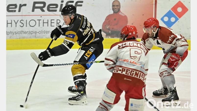 In einem Testspiel vor der abgelaufenen Bayernliga-Saison behielt der ERSC Amberg mit 8:6 die Oberhand über die Ice Dogs aus Pegnitz (Bild). Bild: Hubert Ziegler