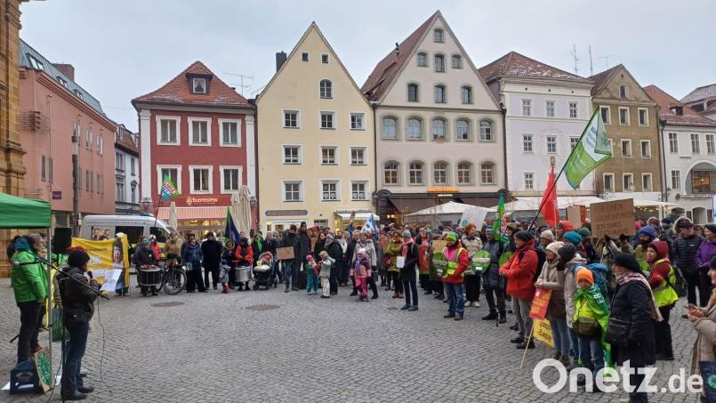 Fridays for Future Amberg plant eine Menschenkette auf dem Marktplatz für Klimaschutz. Archivbild: Corinna Schuhbauer