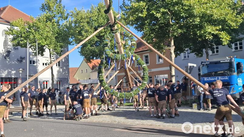 Routiniert und mit vereinten Kräften stellt der Kirwaverein in Pfreimd den Baum auf. Bild: Gabriela Amann