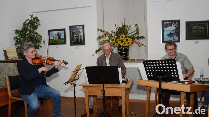 Anja Stecker, eine gebürtige Pleysteinerin an der Violine, sowie Albert Sommer und Daniel Riebl aus Vohenstrauß an den Zithern hießen die Gäste musikalisch bei der langen Museumsnacht willkommen Bild: Elisabeth Dobmayer