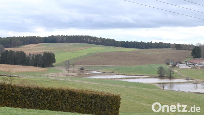 Auf der Anhöhe rund einen Kilometer östlich von Gebenbach plant die Firma Windenergie Gebenbach zwei Windräder. Bild: Gerhard Franz