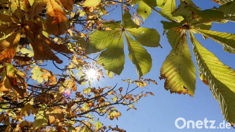 Die kommenden Tage bleibt es sonnig und warm in Bayern, einzig nachts wird es frisch. (Symbolbild) Bild: Thomas Warnack/dpa