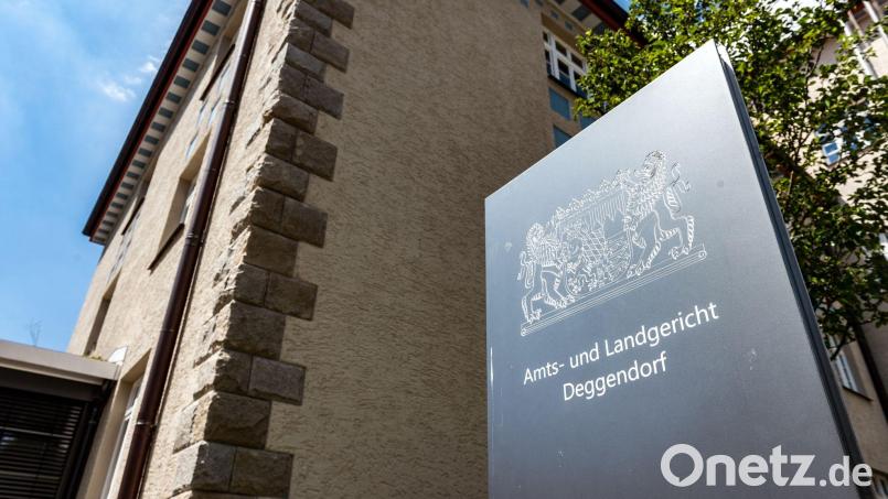 Vor dem Landgericht Deggendorf beginnt ein Dreifachmordprozess. Archivbild: Armin Weigel/dpa