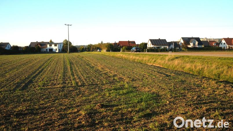 Hier am Ortsausgang von Pfreimd in Richtung Nabburg wird das neue Baugebiet "Westlich der Nabburger Straße" entstehen. Der Stadtrat fasste dazu den Aufstellungsbeschluss. Bild: Rudolf Hirsch