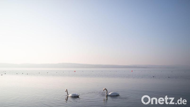 Der Bodensee ist für die Jahreszeit ungewöhnlich warm. (Symbolbild) Bild: Philipp von Ditfurth/dpa
