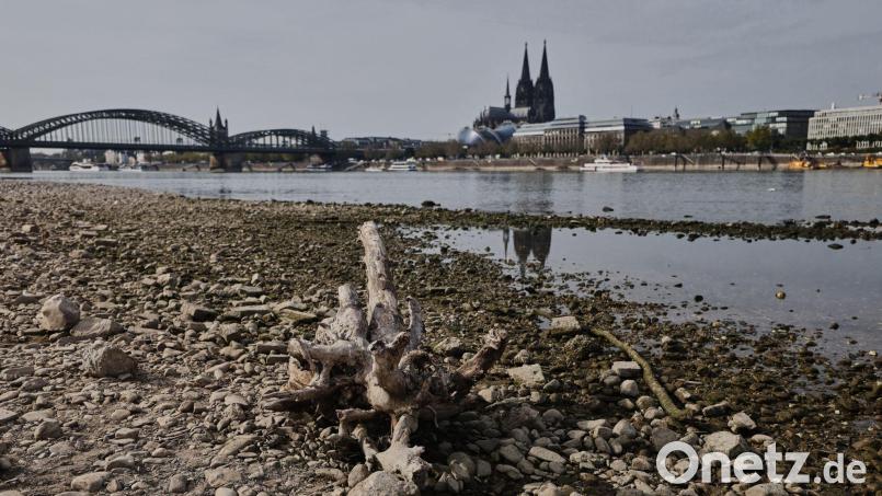 In großen Teilen Europas kam es zu Niedrigwasser - wie hier in Köln. Bild: Oliver Berg/dpa