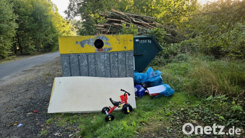 Eine alte Matratze, Elektrogeräte, ein Dreirad, Schuhe und jede Menge Kleidung haben Unbekannte in diesen Tagen am Containerplatz in Steinmühle abgelagert. Bild: Udo Lanz