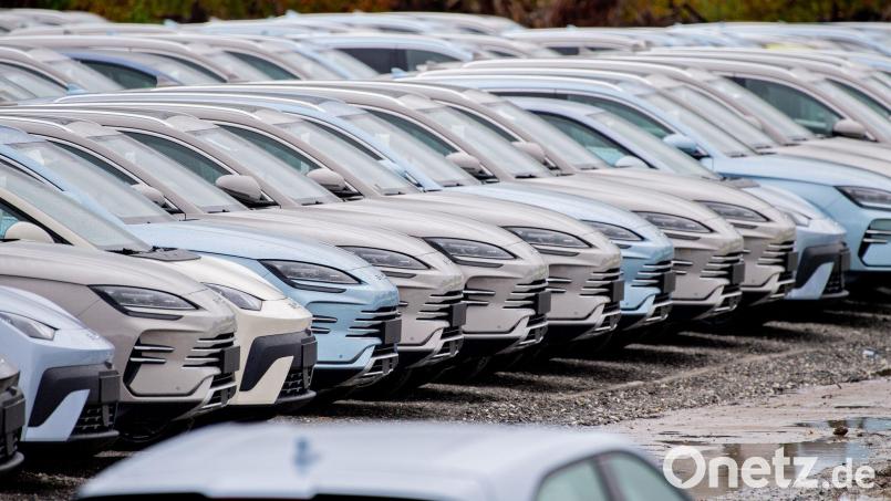 Elektroautos von BYD. Die chinesische Autoindustrie setzt der europäischen Industrie mit ihrer Exportoffensive zu. (Symbolbild) Bild: Hauke-Christian Dittrich/dpa