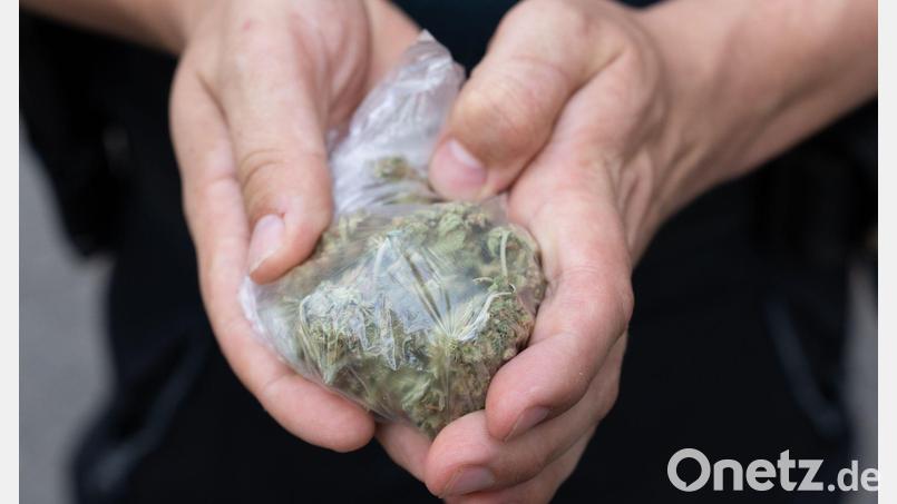 Die Polizei stellte mehrere Kilogramm Cannabis, ein Kilogramm Haschisch, mehrere Hundert Gramm Kokain sowie eine größere Summe Bargeld sicher. (Symbolbild) Bild: Boris Roessler/dpa