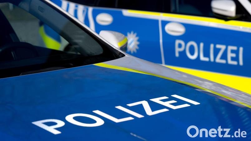 Zwei entlaufene Pferde wurden von einem Auto erfasst und getötet. (Symbolbild) Bild: Sven Hoppe/dpa