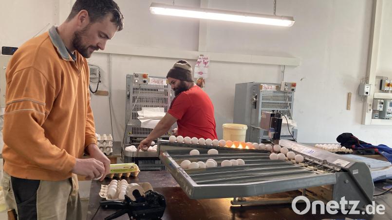 Hofladen, Bauernmarkt oder auf Zuruf: Für landwirtschaftliche Betriebe kann Direktvermarktung eine Möglichkeit sein, Lebensmittel - wie zum Beispiel Eier - zu vertreiben. Bild: Stefanie Swann