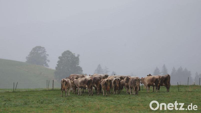 Grau in Grau statt Sonne: Der Herbst meldet sich in Bayern eindringlich. (Archivbild) Bild: Karl-Josef Hildenbrand/dpa