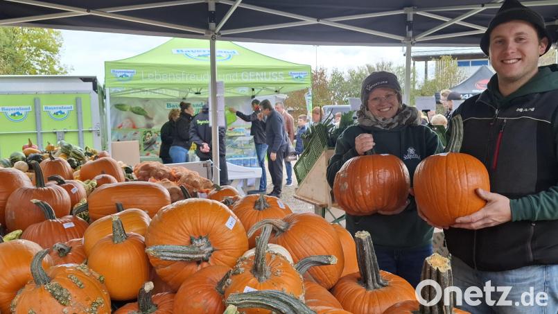 Kürbisse symbolisieren im Herbst gerne die Ernte. Sie durften deshalb beim Herbst-Bauernmarkt mit Kreiserntedankfest nicht fehlen. Bild: Gabriela Amann