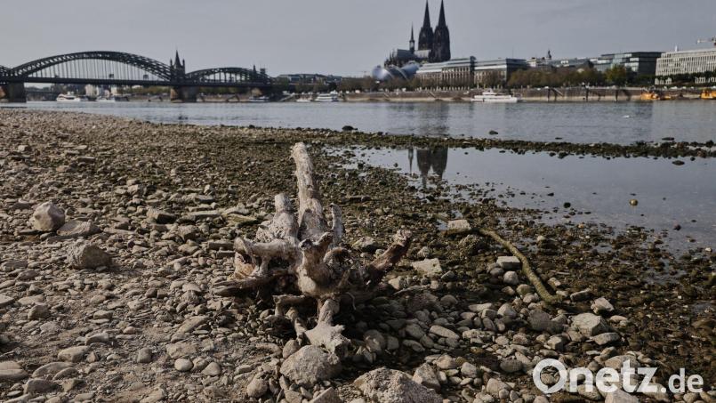 Auch viele deutsche Flüsse hatten sehr niedrige Pegelstände. (Symbolbild) Bild: Oliver Berg/dpa