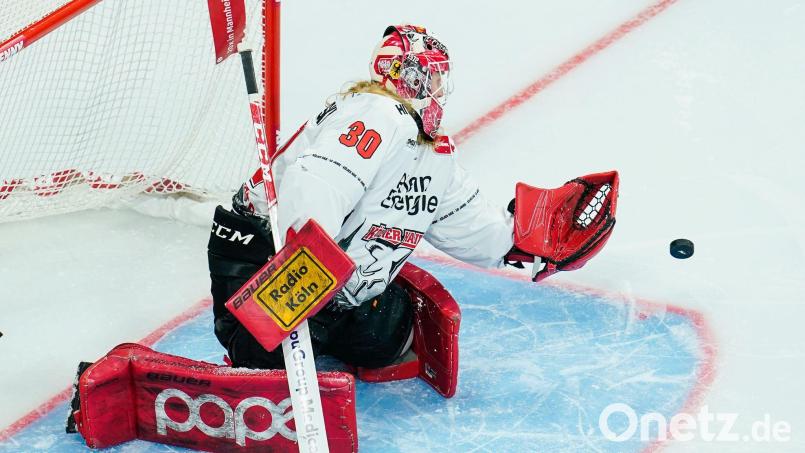 Mirko Pantkowski steht künftig für die Straubing Tigers im Tor. (Archivbild) Bild: Uwe Anspach/dpa