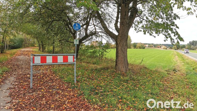Der Bayerisch-Böhmische Freundschaftsweg verläuft zwischen Lind (im Hintergrund) und Schneeberg fast parallel zur Staatsstraße 2160 (rechts). In einem Waldstück bei Herzoghof wurde eine 19-jährige Joggerin von einem bisher unbekannten Mann angegriffen. Bild: Gertraud Portner